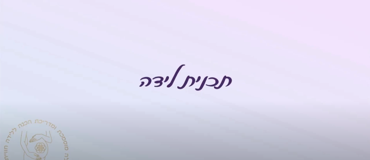 תכנית לידה